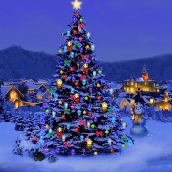 Meet your Posher, Divianshi - Picture 1 of 1